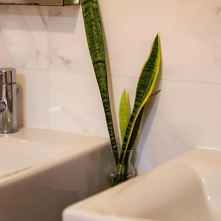 A Casa Da Girafa *